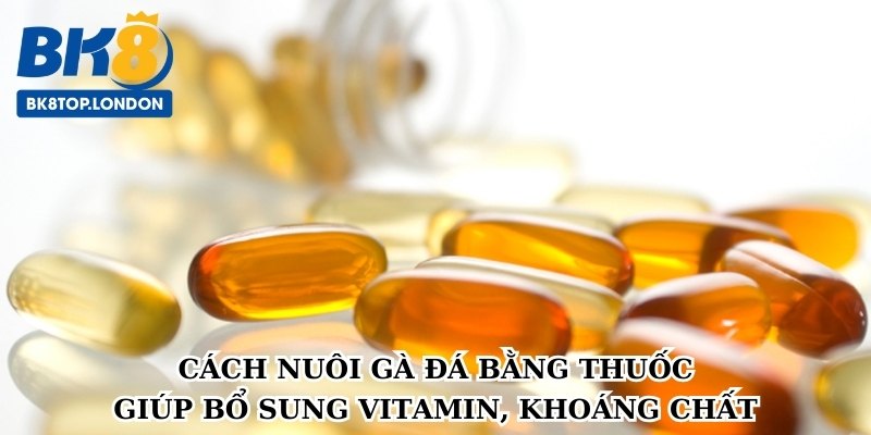 cach-nuoi-ga-da-bang-thuoc-vitamin-khoang-chat